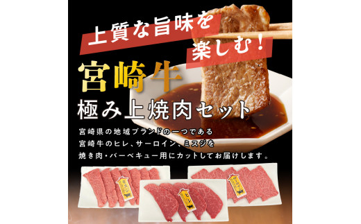 宮崎牛極み上焼肉セット合計300g N0140-YB083