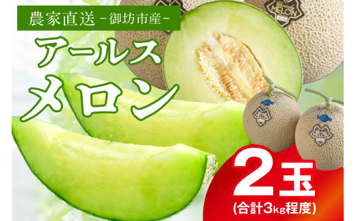 ④【専用】【山形県産】アンデスメロン(青肉) LAサイズ6玉　約5kg ふるさと納税 メロン メロン青肉 山形県 酒田市 SB0688 庄内砂丘