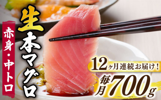 【全12回定期便】五島列島産 養殖 生本かみまぐろ 赤身 中トロ 計約700g / まぐろ 鮪 刺身 ブロック