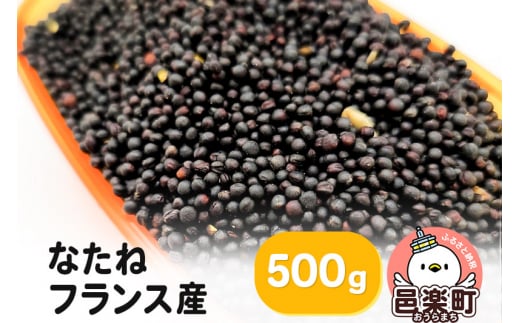 なたね フランス産 500g×1袋 サイトウ・コーポレーション 飼料