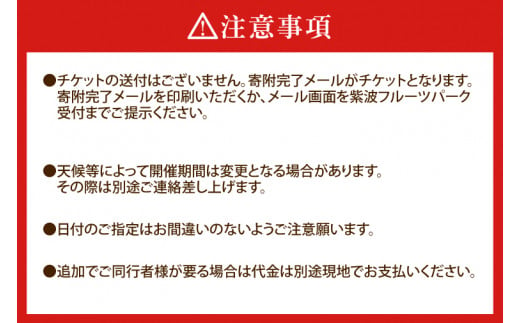 ぶどう狩り体験チケット　【大人（中学生以上）2名様・4歳～小学生2名様分】 （AL070）