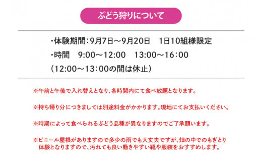 ぶどう狩り体験チケット　【大人（中学生以上）2名様・4歳～小学生2名様分】 （AL070）