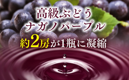 【2024年産ワイン先行予約】こだわり葡萄酒 ナガノパープルワイン 葡萄 ぶどう ブドウ 長野 酒 ワイン 信州産 長野県産 特産 産地直送 おすすめ 飲み切り ハーフボトル 記念日　[№5675-1120] 