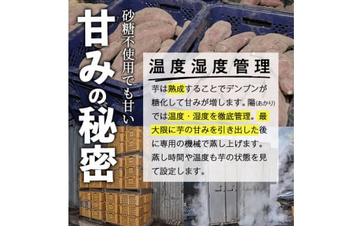 数量限定！干し芋・2種食べ比べセット(合計960g・120g×4袋×2種)サツマイモ 紅はるか 安納芋 小分け 便利 常温 保存 おやつ スイーツ 砂糖不使用 国産 宮崎県 門川町【YO-6】【株式会社 陽】