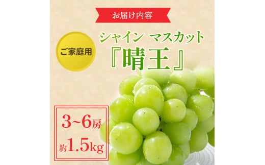 ぶどう 2024年 先行予約 ご家庭用 シャイン マスカット 晴王 3～6房 約1.5kg ブドウ 葡萄  岡山県産 国産 フルーツ 果物