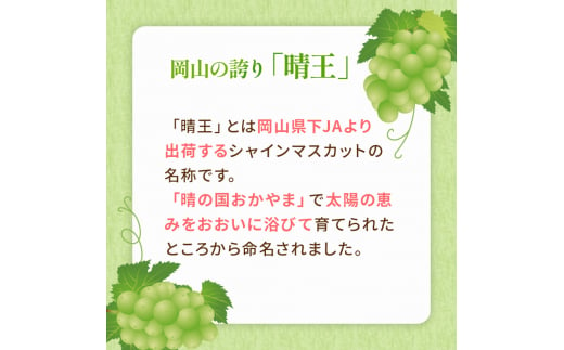 ぶどう 2024年 先行予約 ご家庭用 シャイン マスカット 晴王 3～6房 約1.5kg ブドウ 葡萄  岡山県産 国産 フルーツ 果物