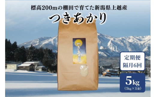 定期便 6回 隔月【2ヵ月毎】標高200mで育てた棚田米 新潟上越中郷産・早生品種 つきあかり 精米 5kg 新潟