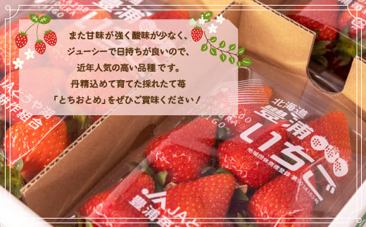 いちご「とちおとめ」250g×4パック 【 ふるさと納税 人気 おすすめ ランキング 果物 いちご苺 国産いちご 国産苺 とちおとめセット おいしい 美味しい 甘い 北海道 豊浦町 送料無料 】 TYUK001