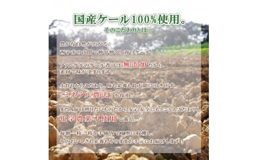 ファンケル　濃縮野菜西予市産ケール（冷凍）