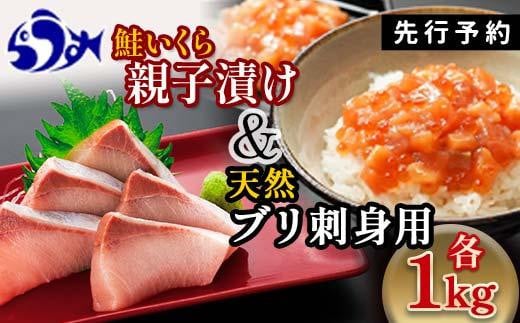 【2024年12月発送】【先行予約】親子漬け・ぶり刺身セット2kg（各250g×4）小分け いくら イクラ 秋鮭 さけ サケ 醤油漬け しょうゆ漬け ブリ 鰤 北海道 国産 羅臼 海鮮 魚介 ご飯のお供 生産者 支援 応援