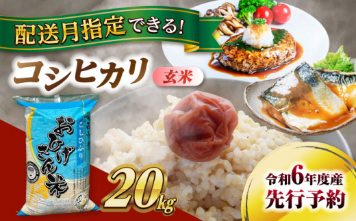 【2月発送】コシヒカリ　玄米　20kg　米　お米　ご飯　愛西市/脇野コンバイン [AECP032-6]