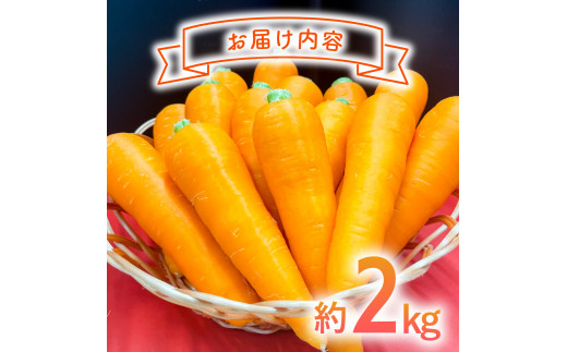 日本を平和にする人参 Peace&Carrots 約２㎏セット 人参 約2kg 栽培期間中 農薬不使用 にんじん ニンジン 野菜 カロテン 食物繊維 栽培期間中農薬不使用