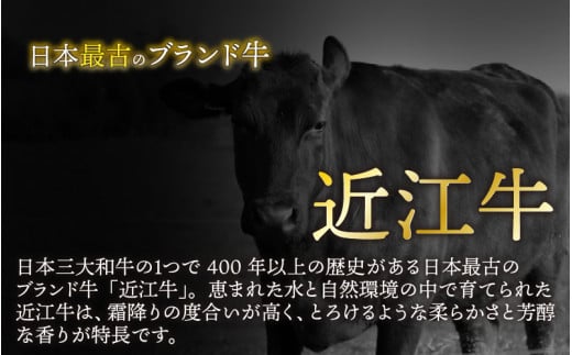 【日本三大和牛】近江牛ロースすき焼き用 350g [C-01202]  / 近江牛肉 国産牛肉 国産牛 和牛 国産 霜降り 赤身 肉 お肉 鍋 冬 お歳暮 すきやき