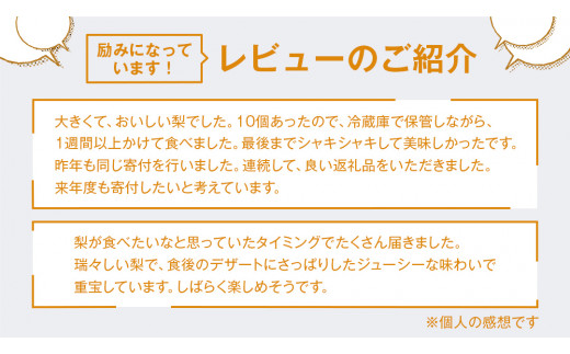 梨 豊水 5kg ( 10個 ～ 14個 ) なし 豊水梨 果物 くだもの フルーツ 旬 高糖度 ギフト 美味しい 甘い デザート 田舎の頑固おやじが厳選！ 【令和6年9月より発送開始】（茨城県共通返礼品：石岡市産）