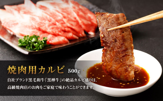 くまもと黒毛和牛 杉本本店 黒樺牛 A4～A5等級 焼肉用カルビ 500g