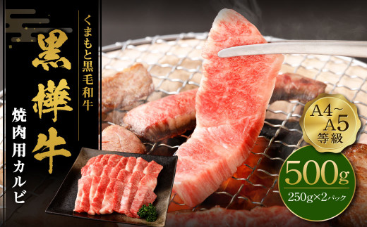 くまもと黒毛和牛 杉本本店 黒樺牛 A4～A5等級 焼肉用カルビ 500g