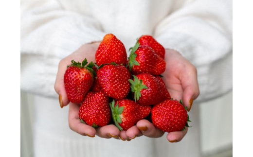 いちご＆ブルーベリー コンフィチュール 140g×各1瓶セット 合計280g ロイヤルクイーンのいちごと無農薬ブルーベリーの果実ゴロゴロ！ イチゴ 苺 ベリー フルーツ ジャム 栃木県 さくら市産 58ロハスファーム 58ロハスクラブ