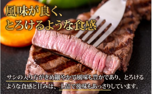 【福井のブランド牛肉】若狭牛 ヒレ肉 ステーキ用 150g×3枚 計450g [C-058001]