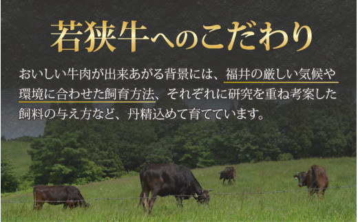 【福井のブランド牛肉】若狭牛 ヒレ肉 ステーキ用 150g×3枚 計450g [C-058001]