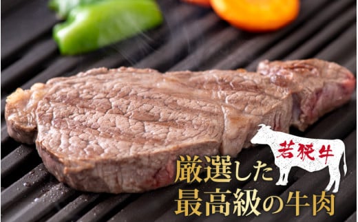 【福井のブランド牛肉】若狭牛 ヒレ肉 ステーキ用 150g×3枚 計450g [C-058001]