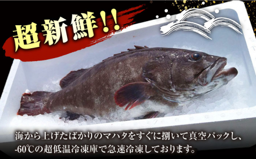 【対馬産】高級魚 マハタ 鍋セット 500ｇ（2～3人前）《対馬市》【石川水産】 分厚い 冷凍 新鮮 肉厚 ハタ マス アラ 海鮮鍋 [WAB013]九州 長崎 対馬 クエ 高級 煮魚 正月 鍋 珍味 簡単調理 日本食 和食 刺身 唐揚げ なべ  まはた 下処理 小分け