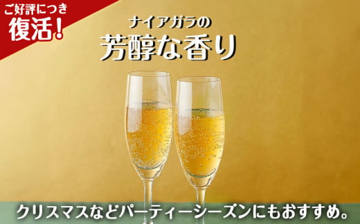 セコマ 北海道余市産 ナイアガラソーダ 500ml 24本入　炭酸飲料