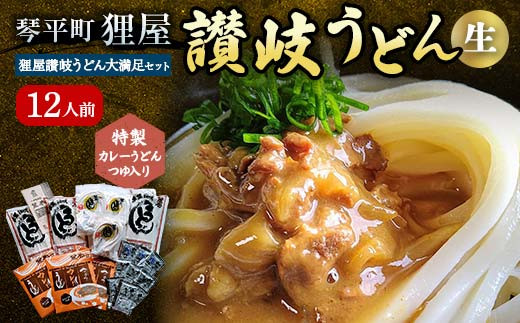 特製カレーうどんつゆ入り 狸屋讃岐うどん大満足セット12人前 4種のつゆ付き 詰合せ 生うどん カレー つゆ うどん 本場 讃岐 讃岐うどん さぬきうどん ご当地 グルメ 名産品 食品 四国 F5J-201