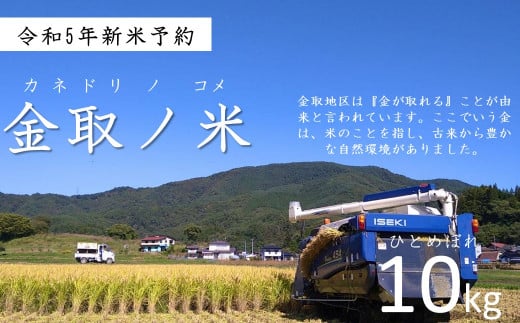 【 令和5年産】金取ノ米（かねどりのこめ）/ ひとめぼれ 精米10kg【多田農産】岩手県 遠野市 宮守町 産 遠野食工房蔵