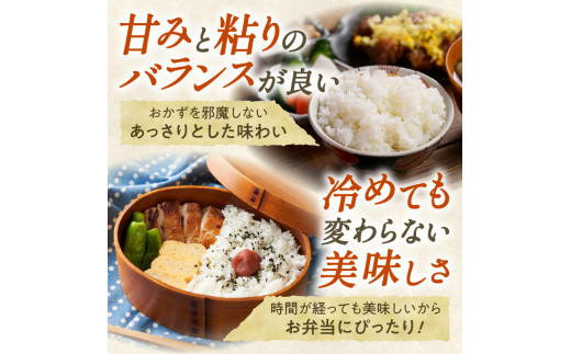 精米したてをお届け！北海道産 ななつぼし 10kg 精米 白米 10kg いつもの食卓に 新鮮なお米をお届け _S036-0002