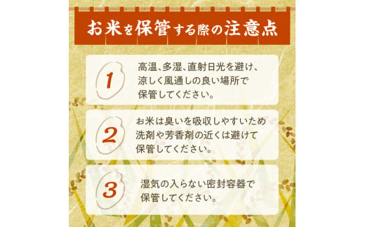 精米したてをお届け！北海道産 ななつぼし 10kg 精米 白米 10kg いつもの食卓に 新鮮なお米をお届け _S036-0002