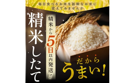 精米したてをお届け！北海道産 ななつぼし 10kg 精米 白米 10kg いつもの食卓に 新鮮なお米をお届け _S036-0002