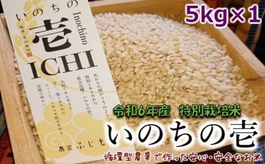 令和6年産特別栽培米 いのちの壱(玄米)5kg×1