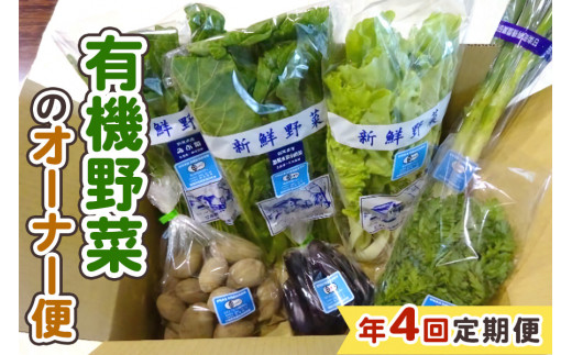 [定期便4回] 有機野菜のオーナー便｜季節野菜 新鮮野菜 獲れたて 産地直送 群馬県産 甘楽町産 [0208]