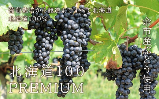 【はこだてわいん】　北海道100 PREMIUM メルロー 2019 750ml 赤ワイン　【余市のワイン】 赤ワイン メルローワイン 余市のぶどう 余市のワイン 北海道のワイン 日本のワイン 国産ワイン