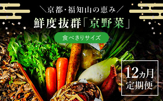 【12ヵ月定期便】鮮度抜群「京野菜」　食べきりサイズ詰合せ  ふるさと納税 京野菜 野菜 新鮮 食べきり 詰合せ 定期便 12か月 京都府 福知山市