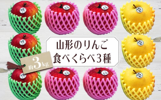 【2024年10月～12月発送分先行受付】山形のりんご食べくらべ3種 約3kg_H080(R6)