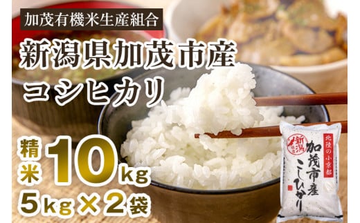 【令和6年産新米先行予約】新潟県加茂市産コシヒカリ 精米10kg（5kg×2）白米 加茂有機米生産組合