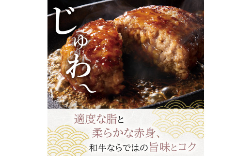 牛肉100％ 国産 冷凍 あか牛 ハンバーグ 150g×10 熊本県産 GI認証取得 くまもと 赤牛 熊本 和牛 肥後 配送不可:離島