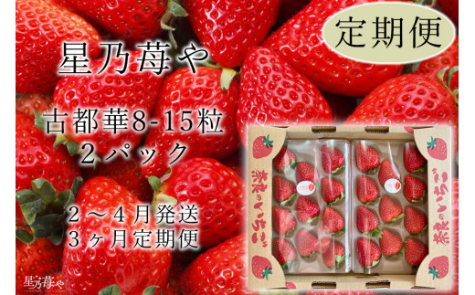 定期便 いちご 奈良県のいちご古都華2パック3ヶ月定期便 2025年2月発送開始 // /苺 いちご イチゴ 古都華 奈良 奈良県 広陵町 生産者直送 直送 厳選 数量限定 旬 フルーツ 甘い 完熟 果物 3ヶ月定期便