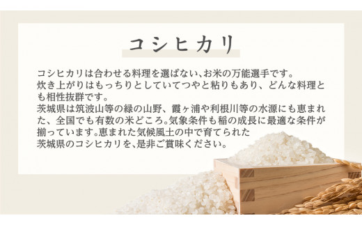 【 6ヶ月 連続配送 定期便 】《 令和6年産 》 茨城県産 コシヒカリ 10kg ( 5kg × 2袋 )  期間限定 こしひかり 米 コメ こめ 五ツ星 高品質 白米 精米 時短 単一米 新米