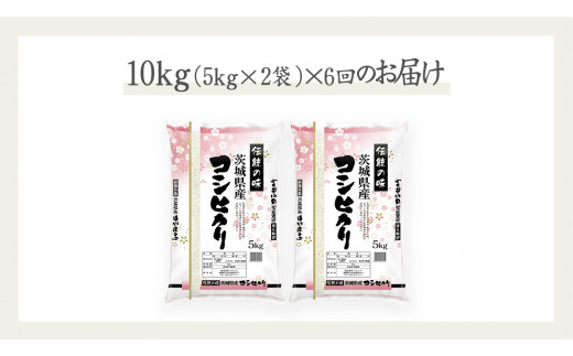 【 6ヶ月 連続配送 定期便 】《 令和6年産 》 茨城県産 コシヒカリ 10kg ( 5kg × 2袋 )  期間限定 こしひかり 米 コメ こめ 五ツ星 高品質 白米 精米 時短 単一米 新米