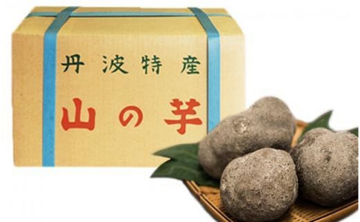 令和３年産　丹波篠山産　山の芋　特上品（秀品）３kg