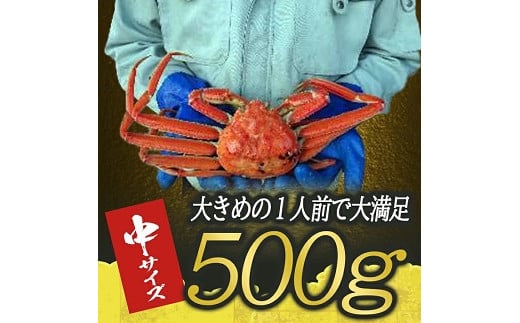 974　遊佐沖　ボイル・本ズワイガニ 1匹 500g程度