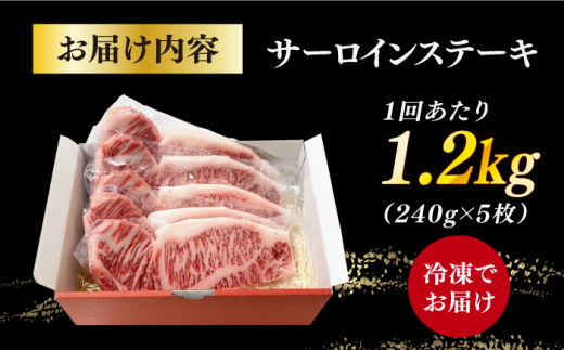 【全3回定期便】長崎和牛サーロインステーキ 1.2kg / 肉 牛肉 ステーキ 長崎 新上五島町