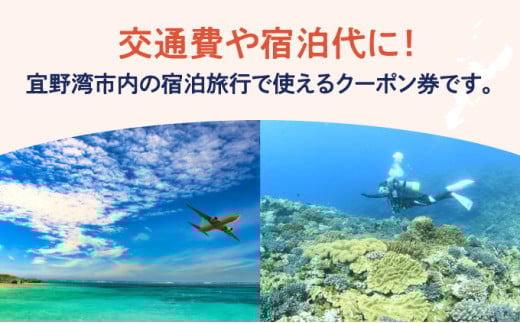 沖縄県 宜野湾市 しろくまツアーで利用可能な選べるWEB旅行クーポン | ふるさと納税 