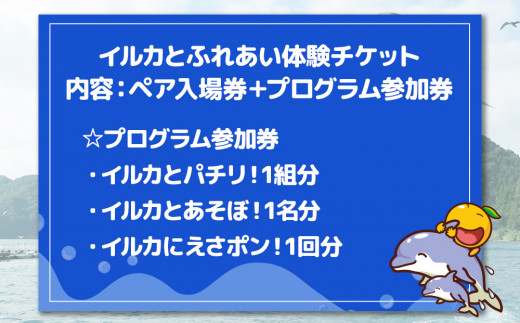 イルカと遊ぼうFor Kids（イルカとふれあい体験チケット）体験チケット レジャーチケット アクティビティ 動物ふれあい 大分県産 九州産 津久見市 熨斗対応