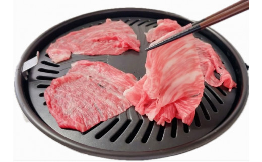 松阪牛 モモ 焼き肉 500ｇ 国産牛 和牛 ブランド牛 JGAP家畜・畜産物 農場HACCP認証農場 牛肉 肉 高級 人気 おすすめ 神戸牛 近江牛 に並ぶ 日本三大和牛 松阪 松坂牛 松坂 赤身 うす切り スライス 切り落とし きりおとし 焼肉 ギフト 箱入り 三重県 多気町 SS-105