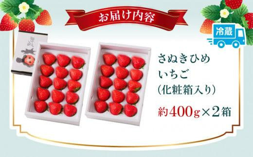 さぬきひめいちご化粧箱　2箱(各約400g)【2025年1月上旬～2025年4月下旬配送】