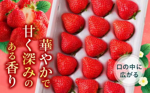 さぬきひめいちご化粧箱　2箱(各約400g)【2025年1月上旬～2025年4月下旬配送】