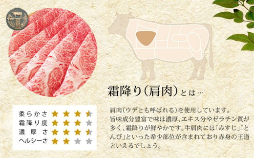 【宮崎牛】 霜降り スライス 500g [SHINGAKI 宮崎県 美郷町 31ag0051] 牛肉 黒毛 和牛 国産 宮崎 A4 A5等級 牛 宮崎県産 冷凍 送料無料 ブランド 牛 肉 霜降り